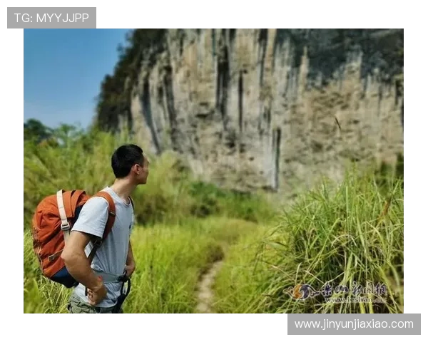 世界攀岩锦标赛线路设计的审美与难度平衡